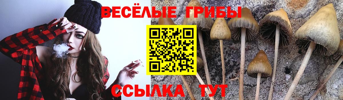 Галлюциногенные грибы Psilocybine cubensis  Вход с VPN  Усинск 